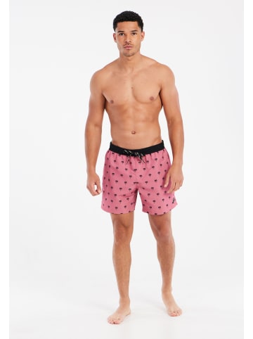 Protest " PRTParco in DuskSkyPink