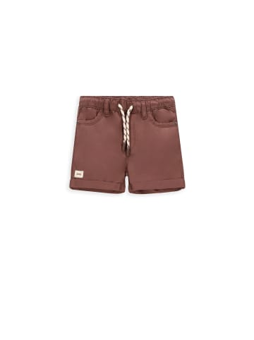 Coccodrillo Kurze Hose in braun