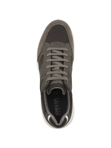 Geox Sneaker low U Damiano A in dunkelgrau