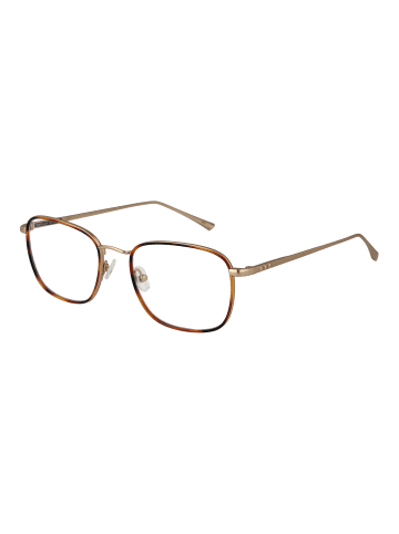 Taylor Morris Unisex Optische Fassungen Rechtwinklig Braun