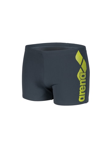 Arena Badehose in Grau