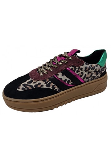 POELMAN Sneaker Anemone in Schwarz