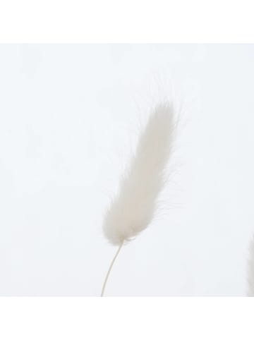 Boltze Deko-Zweige in weiß