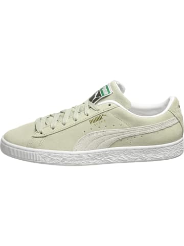 Puma Puma Turnschuhe in spring moss/white