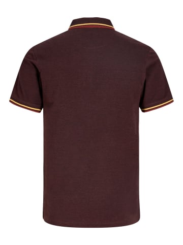 Jack & Jones Poloshirt in Bitter Chocolate
