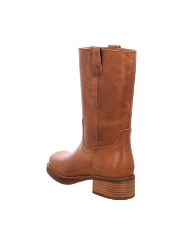 phenumb Klassische Stiefel in Braun