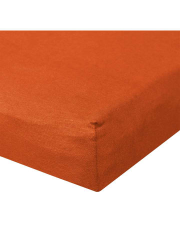 BettwarenShop Spannbettlaken Ultra-Stretch in maron