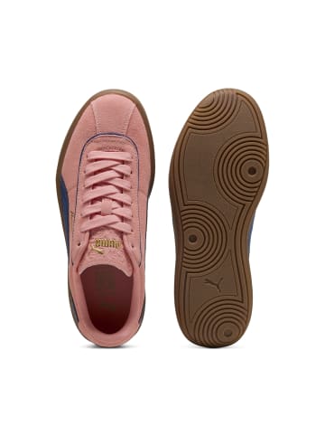Puma Sneaker Club Klassika SD in pink fruit-blazing blue-puma gold