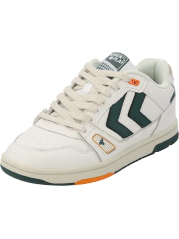 Hummel Klassische- & Business Schuhe in MARSHMALLOW/RAIN FOREST