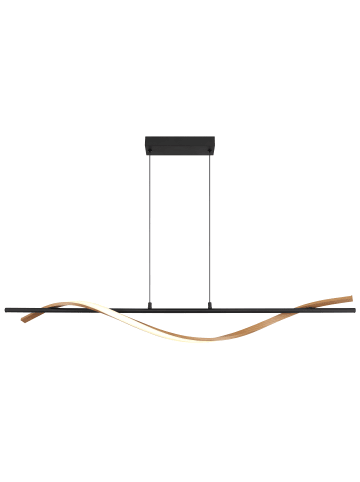 Globo lighting Hängeleuchte "WATKINS" in black