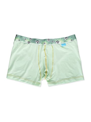 Unabux Boxer Briefs Motiv Mix in JAMES FLAMINGO