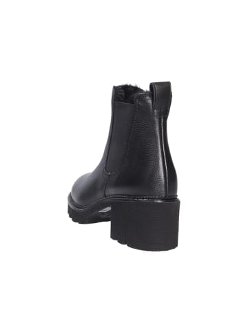 Paul Green Stiefelette in schwarz