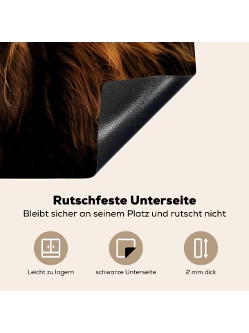KitchenYeah Herdabdeckplatte Schottisches Hochlandrind