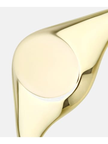 Vanlere Siegelring aus 375 Gelbgold