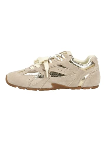 Steve Madden Sneaker in Gold/Beige