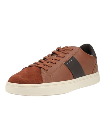 Geox Sneaker BALTMOORE in Cognac