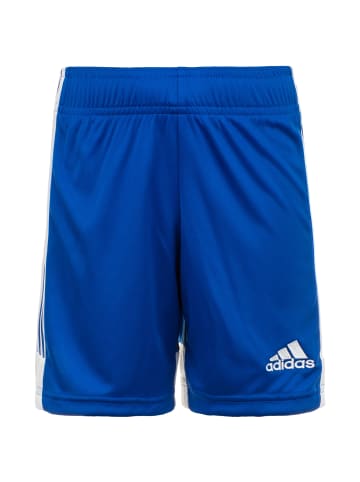 adidas Performance Funktionsshorts Tastigo 19 in blau / weiß