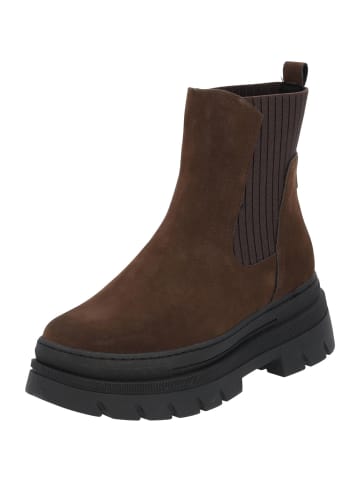 Marco Tozzi Winterstiefeletten in CAFE NUBUCK/BLACK