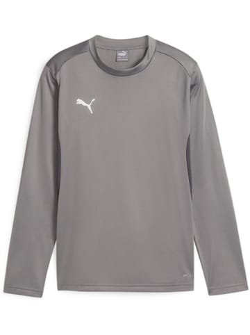 Puma Pullover "TeamGoal Training Sweat Jr" in Grau