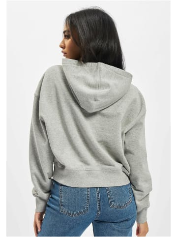 Dickies Kapuzenpullover in grey melange