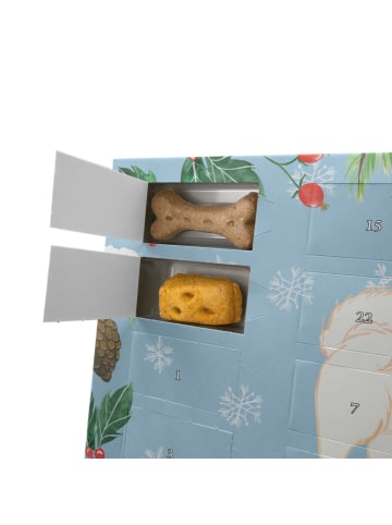 Mr. & Mrs. Panda Hunde Adventskalender Havaneser Moment mit Spruch in Eisblau