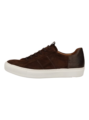 LLOYD Sneaker in Moro