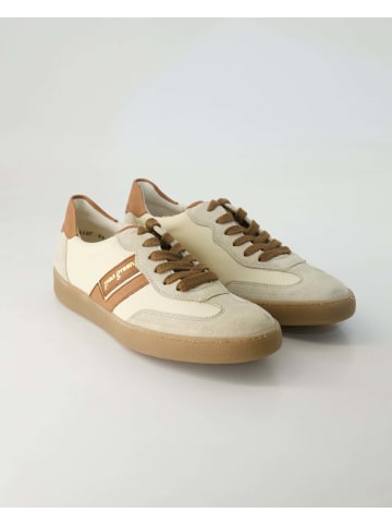 Paul Green Sneaker low in Beige