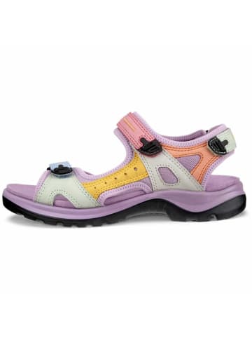 Ecco Sandalen für Mädchen in Bunt