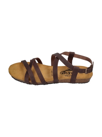 Plakton Sandalen FRAN VALI 405184 in braun
