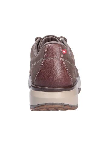 Joya Sneaker Low in braun