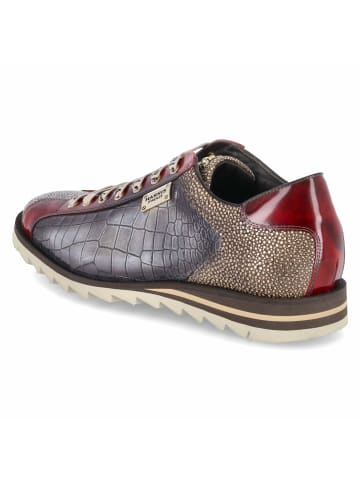 Harris Schnürhalbschuh in taupe