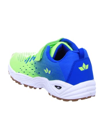 Lico Trainings- & Hallenschuhe in Grün