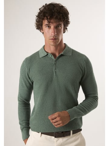 Felix Hardy Pullover in Grün