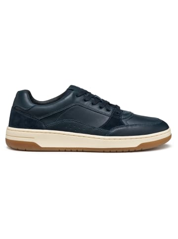 Geox Sneaker in blau