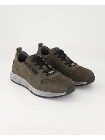 SALAMANDER Sneaker low in Grau