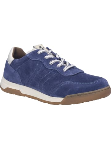 Josef Seibel Sneaker Blake 03 in grau