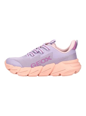 Geox Sneaker in Lilac