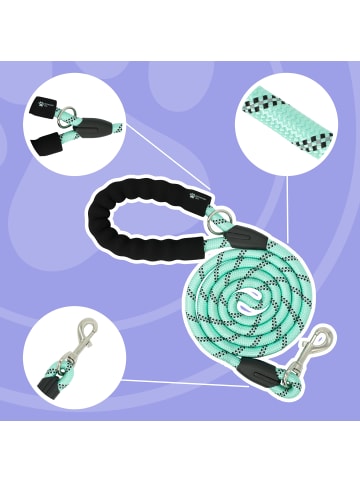 Reichstadt Reichstadt  RS Pets Führleine Nylon 25RSP084 Turquoise 1,5m