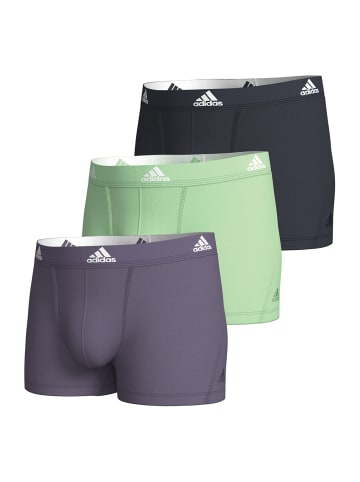 adidas Trunk BASIC in schwarz, grau, mint