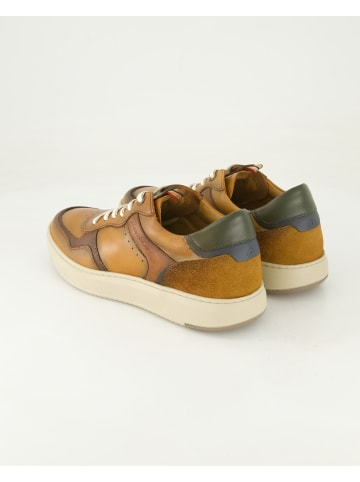 Ambitious Sneaker low in Braun