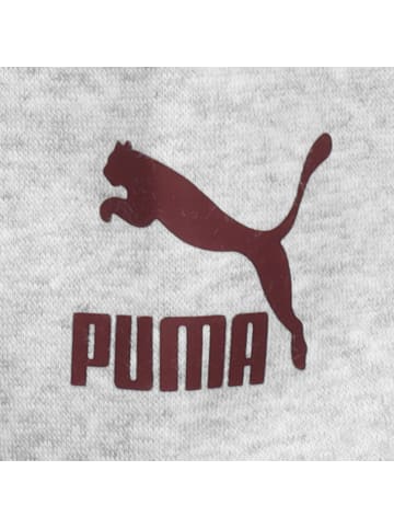 Puma Kapuzenpullover in lightgrey heather