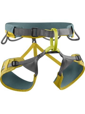 EDELRID Klettergurt Jay III in Grün