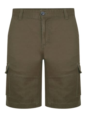 Threadbare Shorts THBHydro in grün