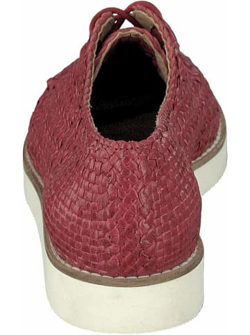 Allan K Sneaker für Damen in rot