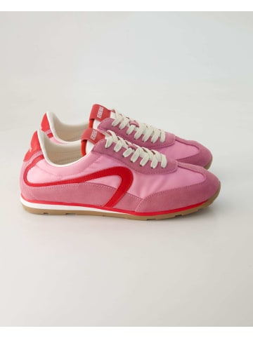 Verbenas Sneaker low in Rosa