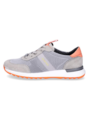 ara Sneaker in grau