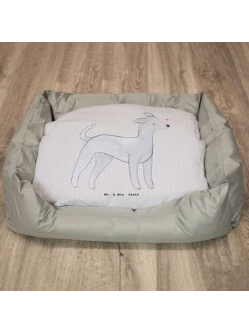 Mr. & Mrs. Panda Hundesofa Italienisches Windspiel Lebensretter ... in Grau Pastell