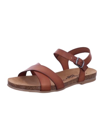 Cosmos Comfort Sandale in braun