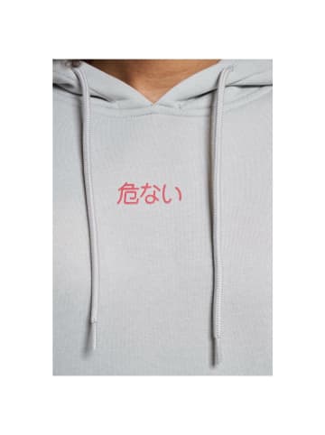 DNGRS Dangerous Hoodie "Dangerous Dngrs Faith Hoodies" in Grau