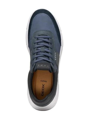 Geox Sneackers U in Blue/Navy